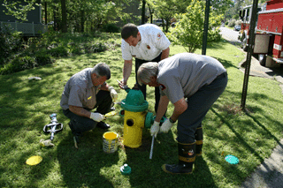 �2008 BluffParkAl.org