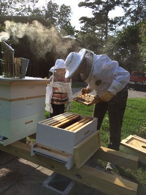 �2014 BluffParkAL.org - All Rights Reserved - Heathers Corner Bluff Park Bees