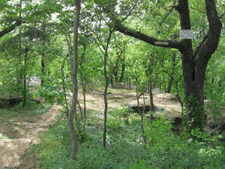 �2007 BluffParkAl.org